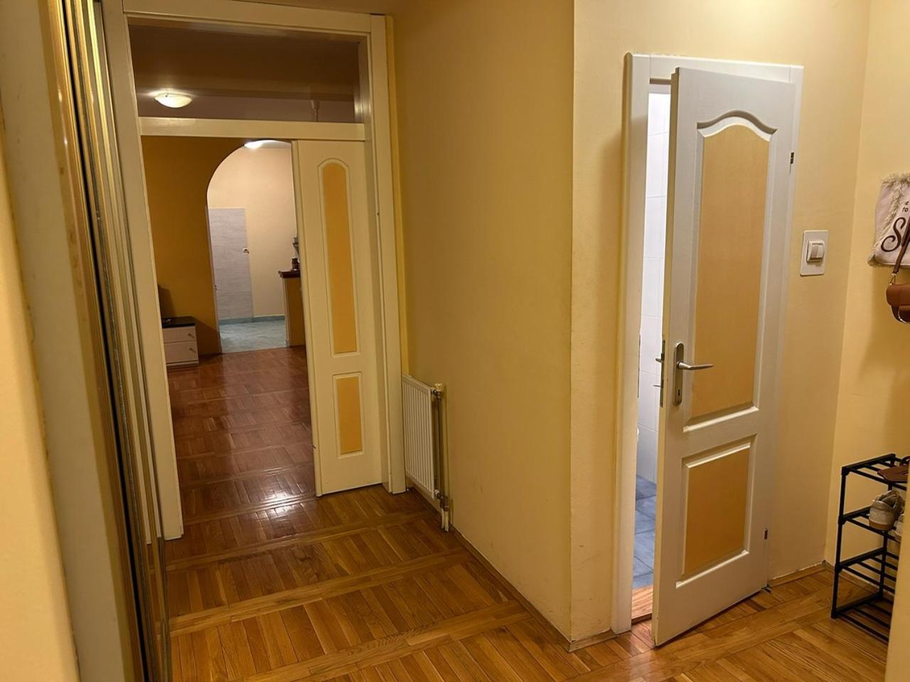 Big Apartment With Wifi, Ac And Smarttv Novi Sad Buitenkant foto