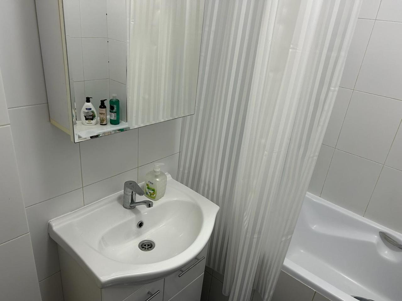 Big Apartment With Wifi, Ac And Smarttv Novi Sad Buitenkant foto